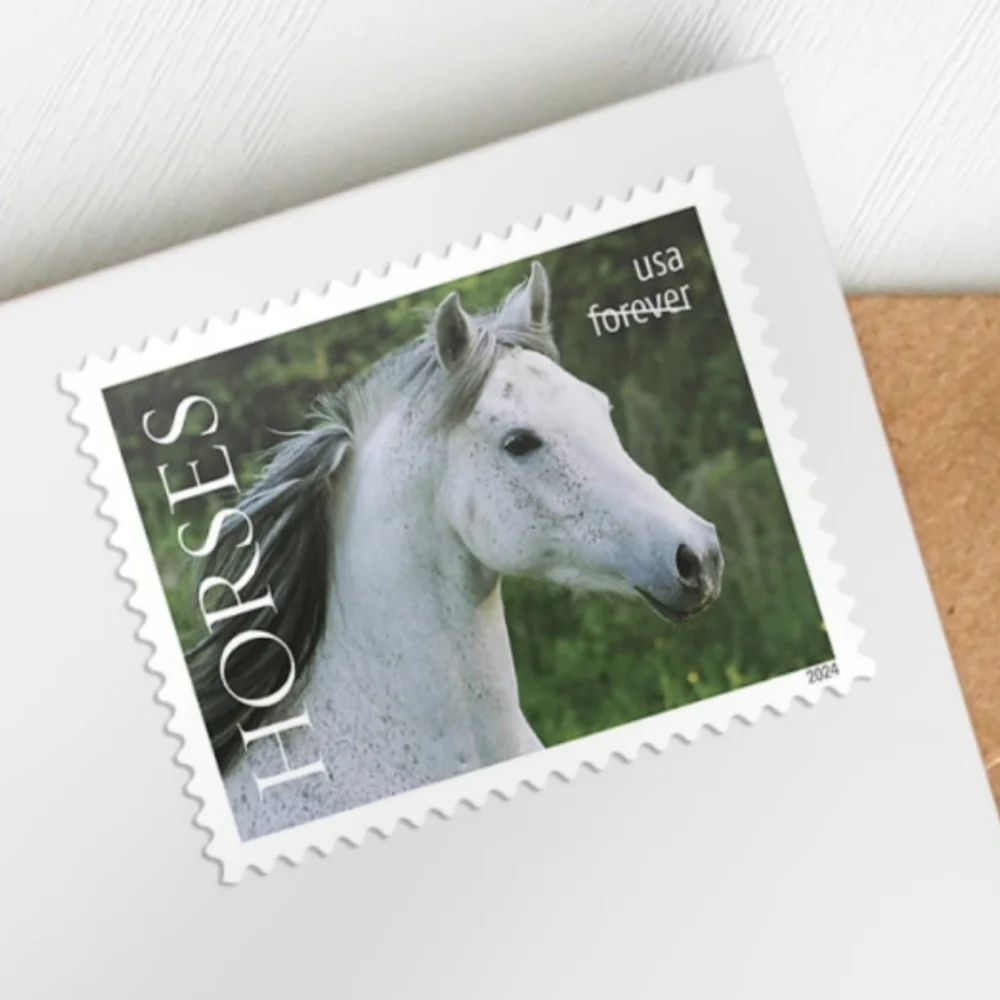100 Horses 2024 Forever Postage Stamps US Postal USPS Equestrian‎ Riding Ponies